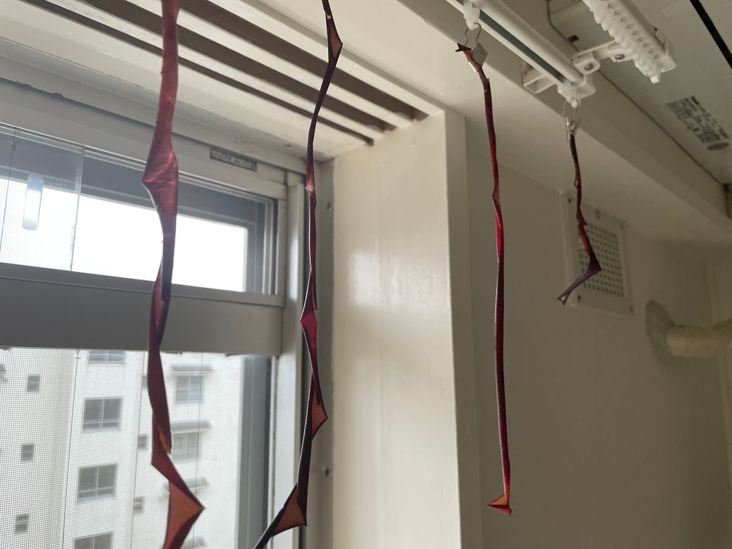 今日も荒天 Thumbnail