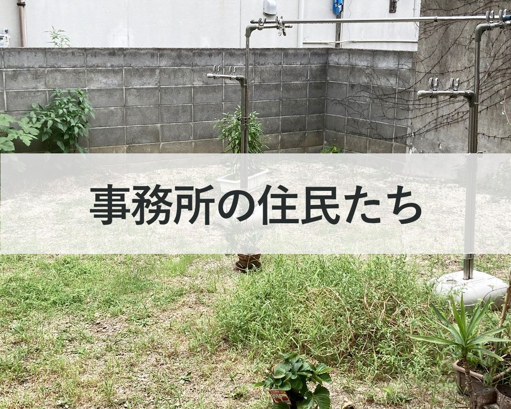 事務所の住民たち Thumbnail