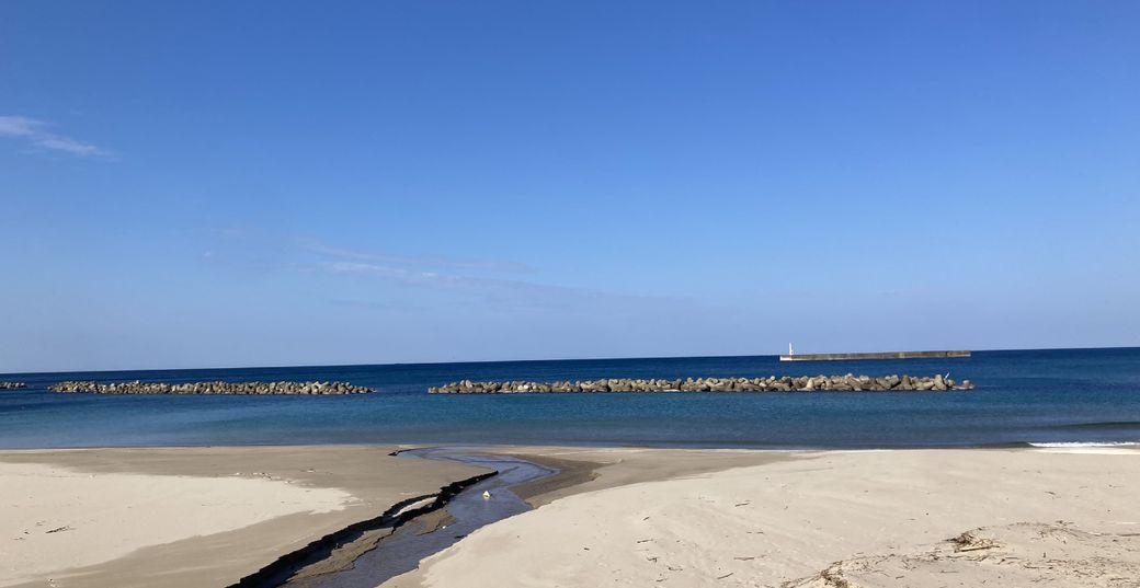 ある冬の晴れた日、海岸でフジツボに出会いました Thumbnail